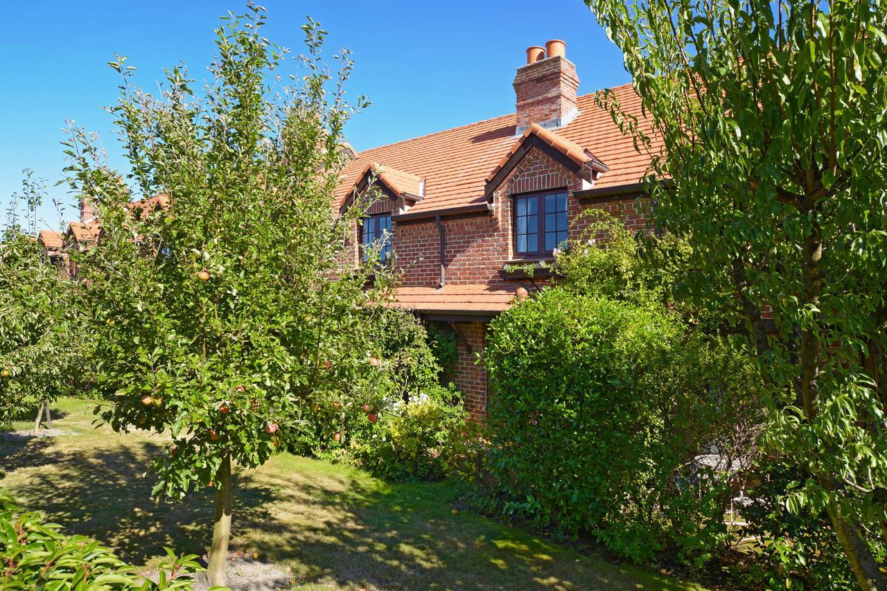 Compass Cottage - Monaco Resort Nelson Exteriör bild